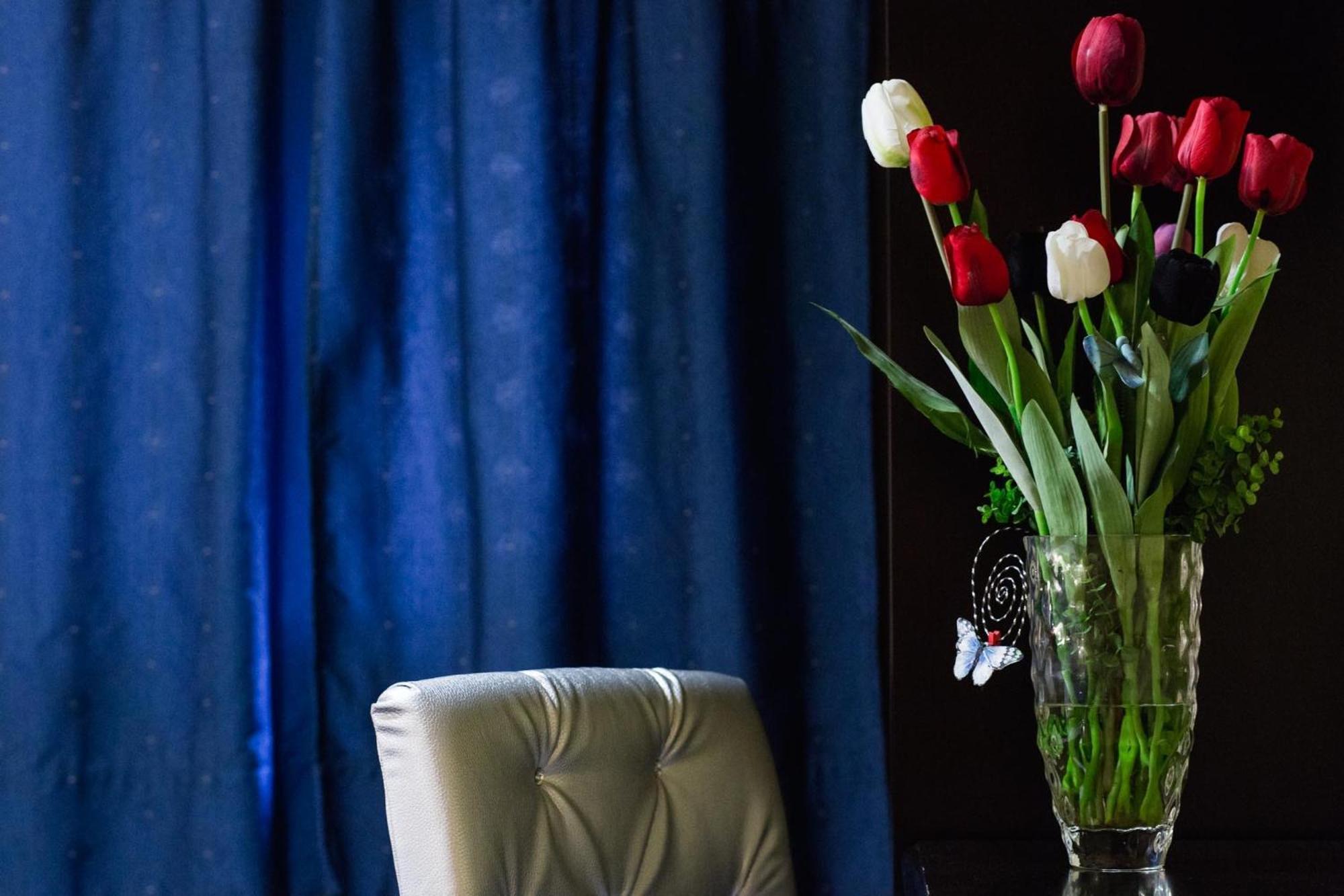 Hotel Tulipa Braganca Room photo